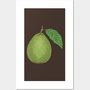 Guava Posters and Art
